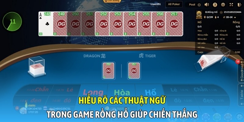 Hiểu rõ các thuật ngữ trong game Rồng Hổ giúp chiến thắng